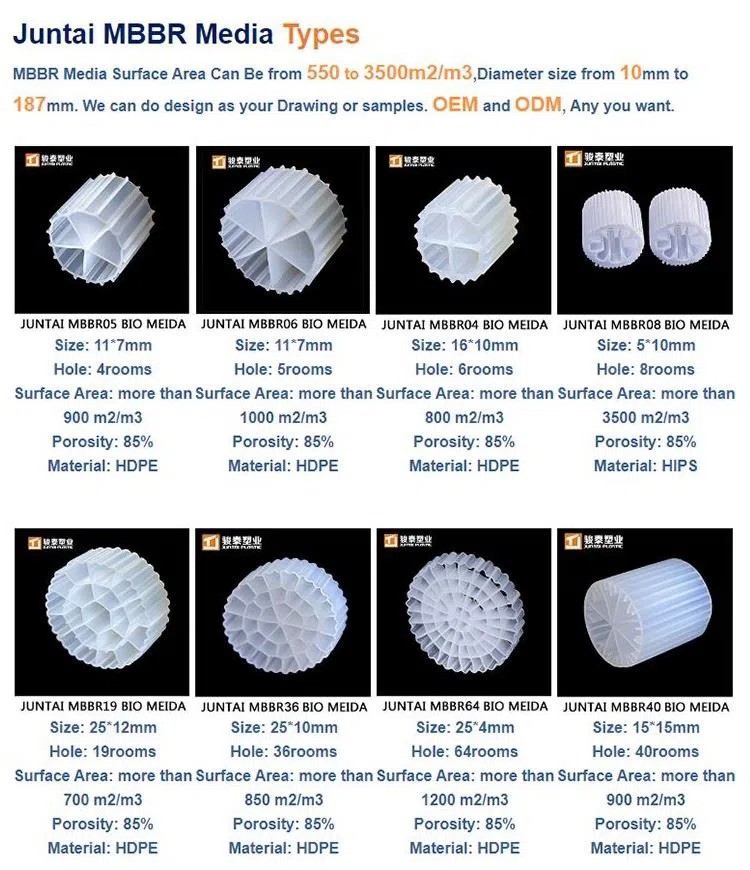 202104021414020ff15c29c54045b299a4ee658580074e (1)