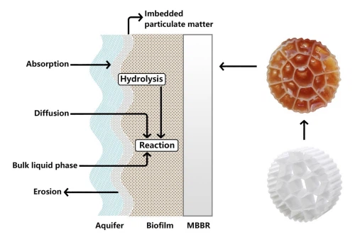 biofilm mbbr treatment biofilm mbbr treatment